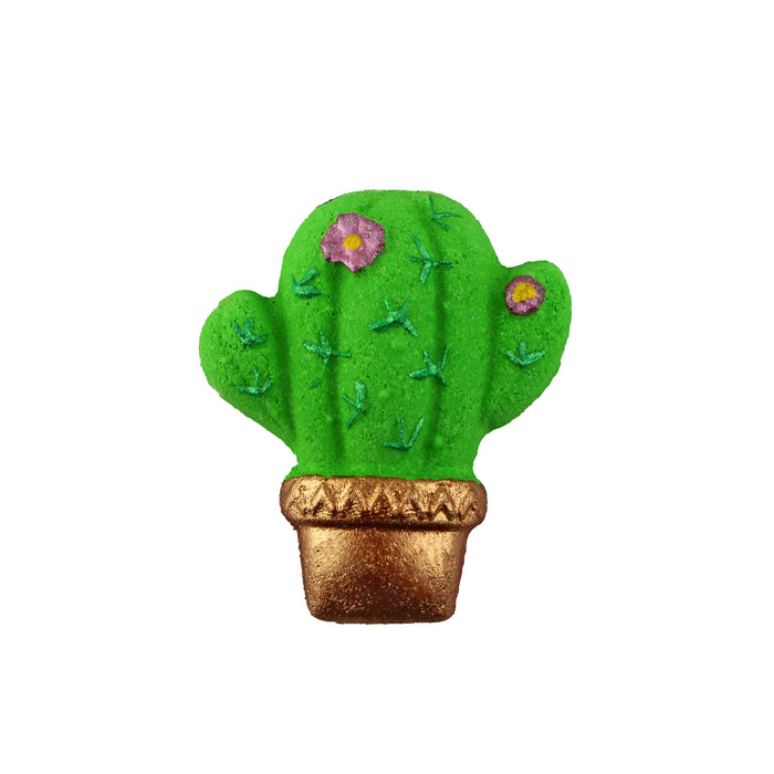 Cactus with Flowers